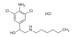 Clenhexerol hydrochloride reference materials - analytical standards - Beta-Agonists - WITEGA Laboratorien Berlin-Adlershof GmbH Clenhexerol hydrochloride reference materials - analytical standards - Beta-Agonists - WITEGA Laboratorien Berlin-Adlershof GmbH