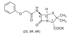 phenoxymethylpenicillin LA005 phenoxymethylpenicillin