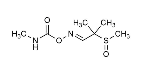 Aldicarb-sulfoxide