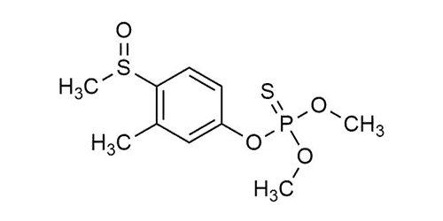 Fenthion-sulfoxide
