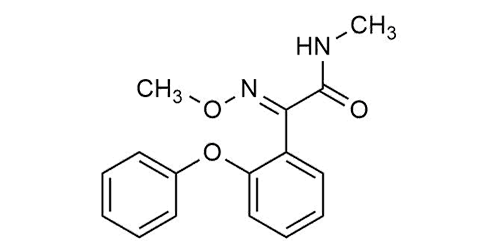 (E)-Metominostrobin