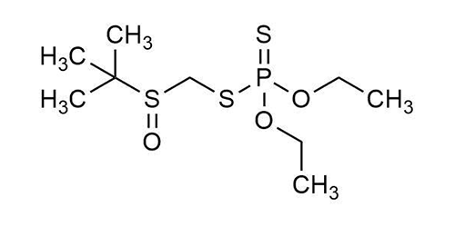 Terbufos sulfoxide