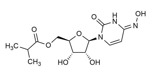 Molnupiravir