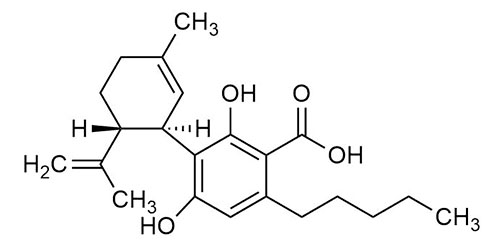 Cannabidiolic acid