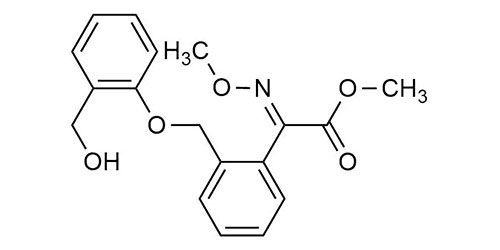 (E)-Kresoxim-2-hydroxymethyl (methyl ester) 490M24