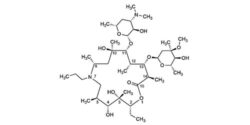 Gamithromycin - OP254 - WITEGA Laboratorien Berlin-Adlershof