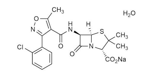 Cloxacillin sodium salt monohydrate