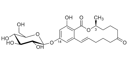Zearalenone-14-O-β-glucoside