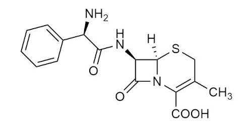 Cefalexin <br>Cephalexin