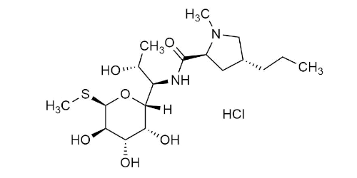 Lincomycin HCl