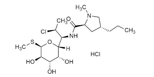 Clindamycin HCl