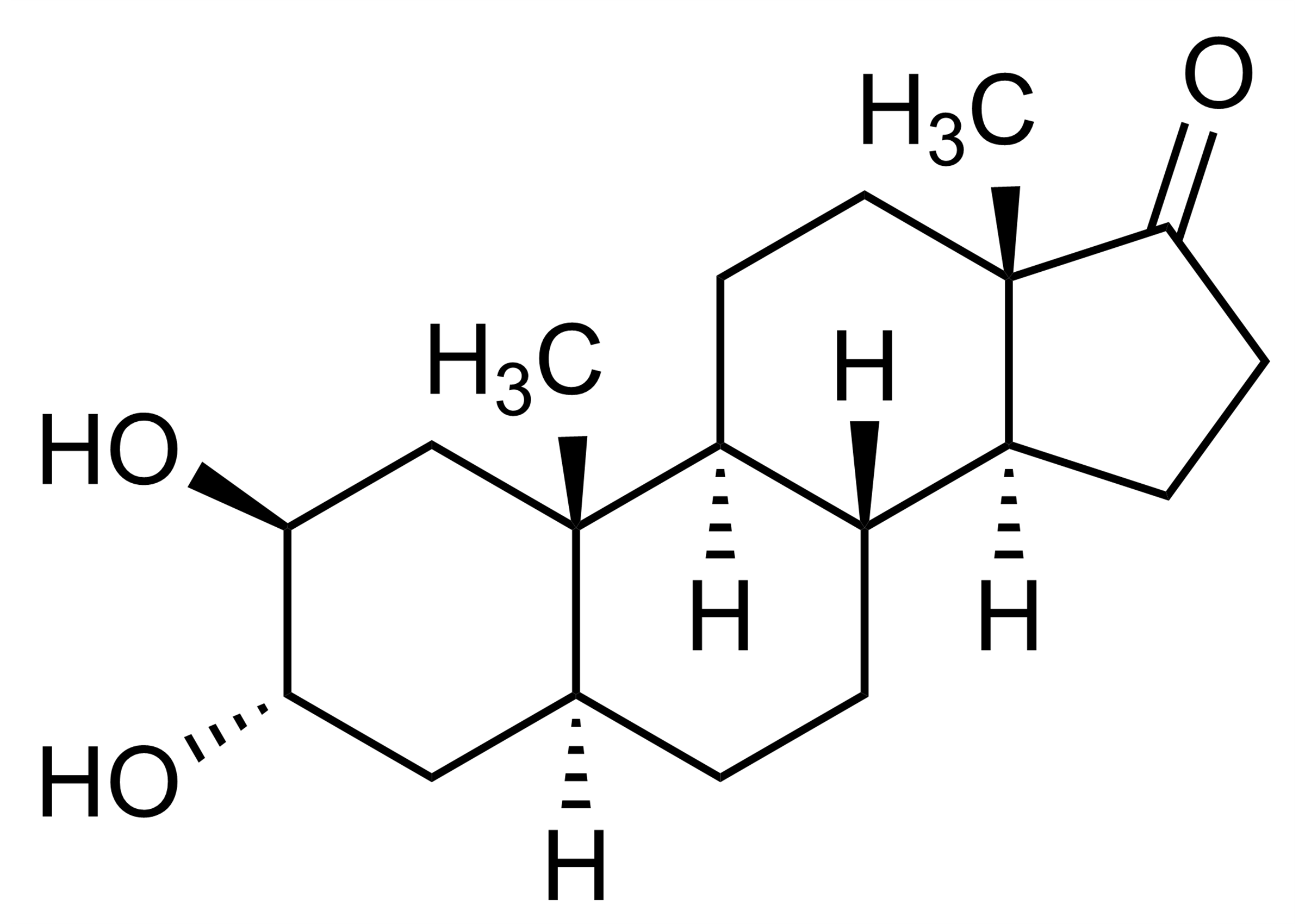 Molecular Structure of 2beta,3alpha,5alpha-2,3-Dihydroxyandrostan-17-one Reference Standard 2beta,3alpha,5alpha-2,3-Dihydroxyandrostan-17-one molecular structure reference standard for LC-MS/MS and GC-MS quantification