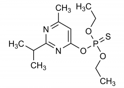 Diazinon molecular structure reference standard for analytical quantification