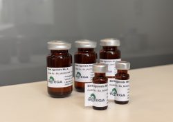 Beta Agonists Reference Standard Mixture Analytical Solution Beta agonists Mix 4 analytical reference standard solution in laboratory vial for chromatography and mass spectrometry analysis